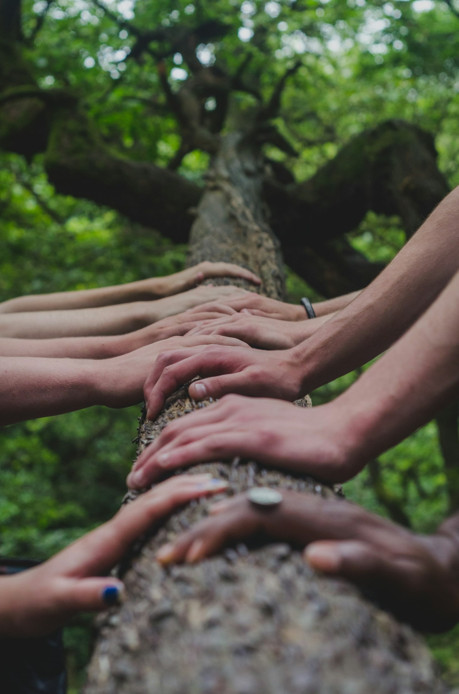 Why Community Matters in University Life